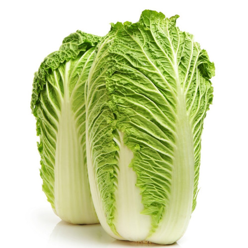 Cabbage-chinese